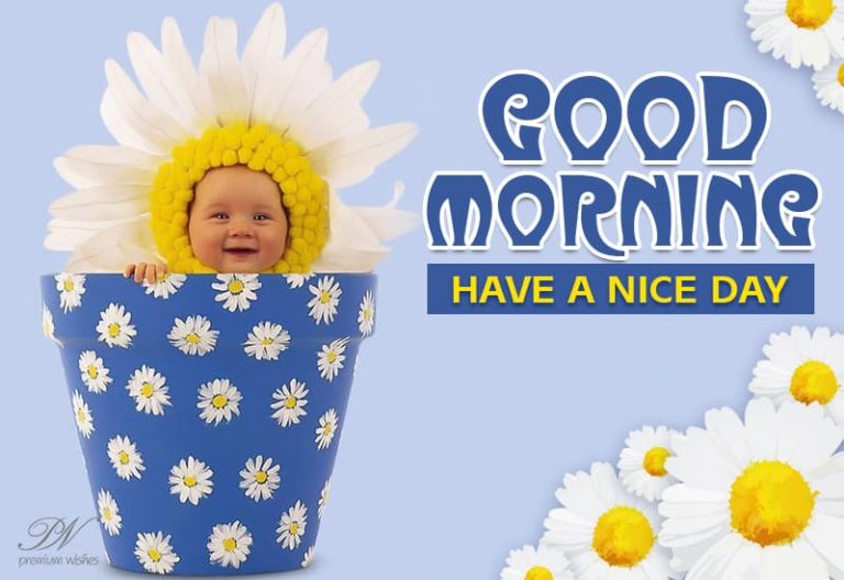 Good Morning Friends – Have A Nice and Wonderful Day Ahead