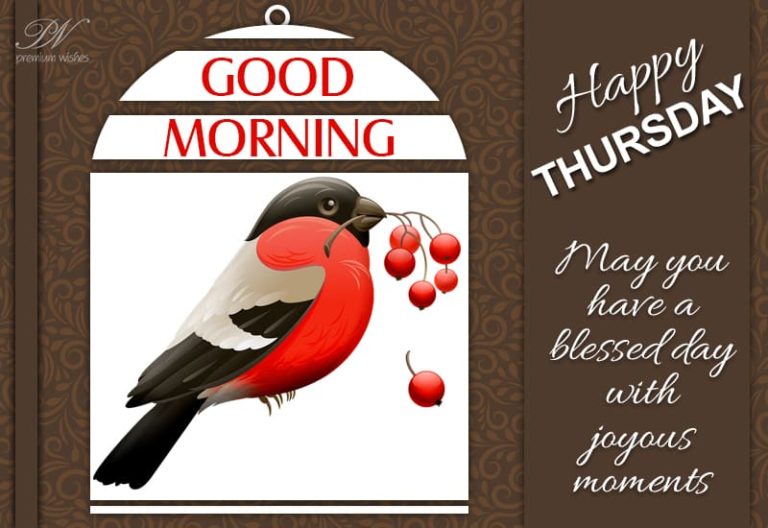 May you have a blessed day with joyous moments – Good Morning – Happy Thursday May you have a blessed day with joyous moments – Good Morning – Happy Thursday