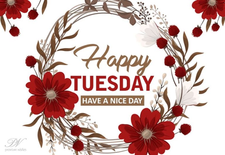 Happy Tuesday – Good Morning – Have a nice day