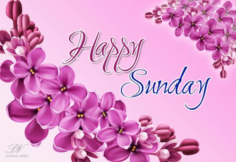 Happy Sunday – Good Morning Friends – Greetings