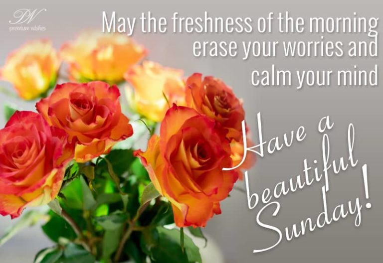 Have A Beautiful Happy Sunday Have A Beautiful Happy Sunday