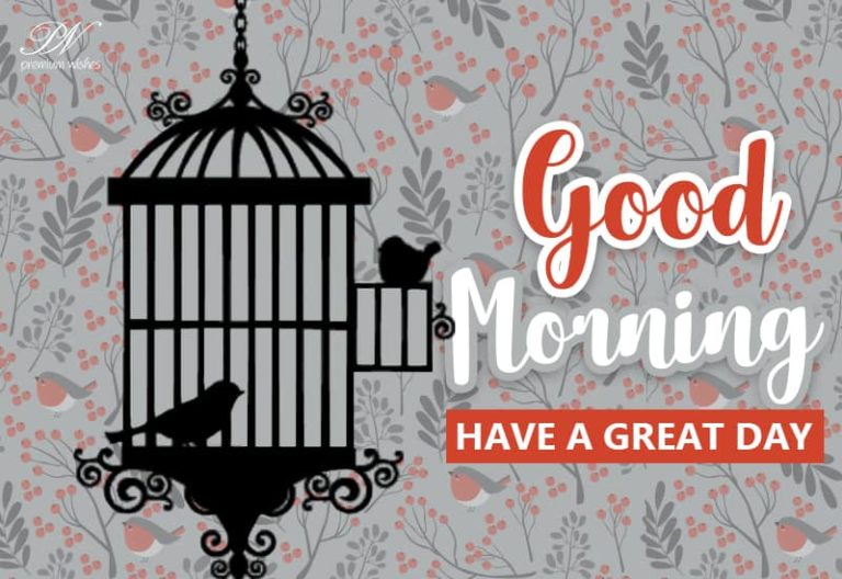 Have a nice day ahead – Good Morning Have a nice day ahead – Good Morning