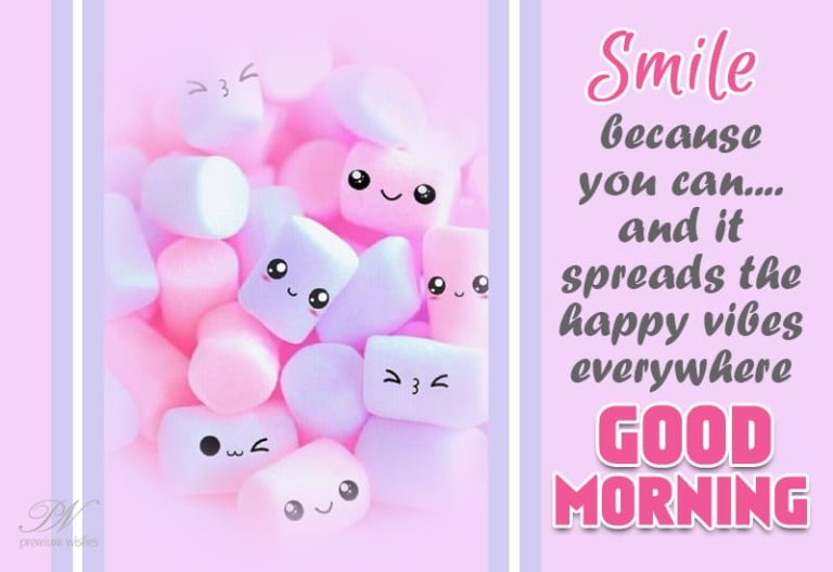 Good Morning – Smile because you can and it spreads the happy vibes everywhere Good Morning – Smile because you can and it spreads the happy vibes everywhere