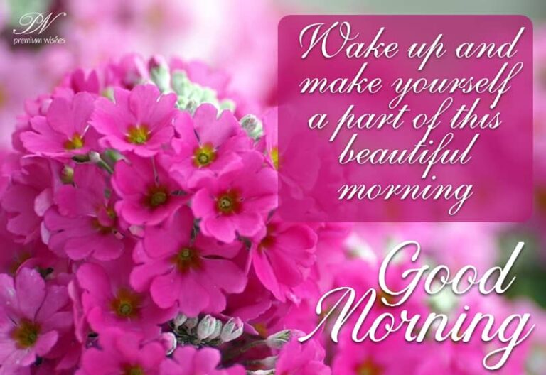 Wake up and make yourself a part of the beautiful morning – Good Morning Wake up and make yourself a part of the beautiful morning – Good Morning