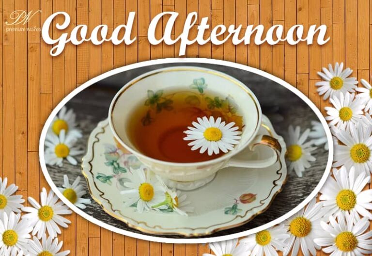 Good Afternoon Wishes