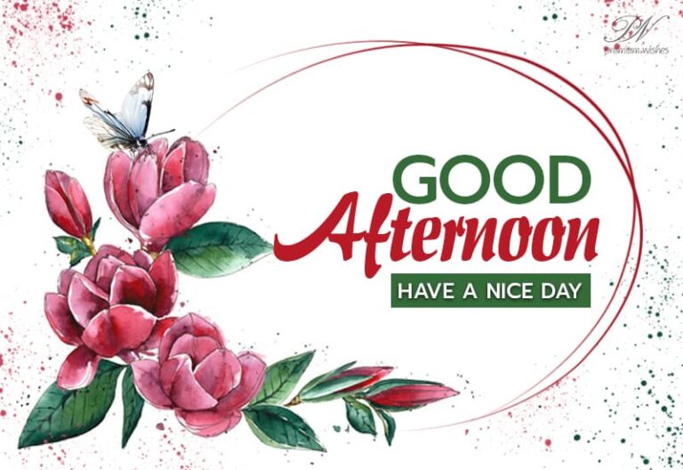Good Afternoon Wishes