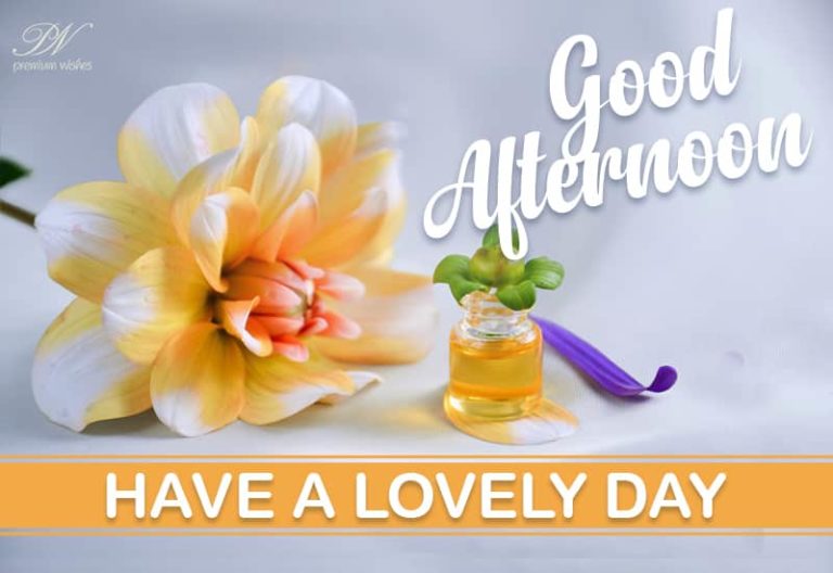 Good Afternoon Wishes