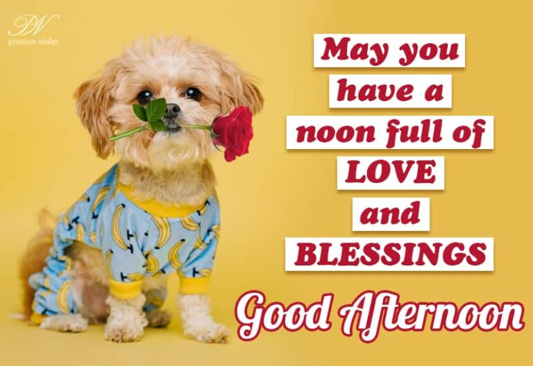 Good Afternoon Wishes