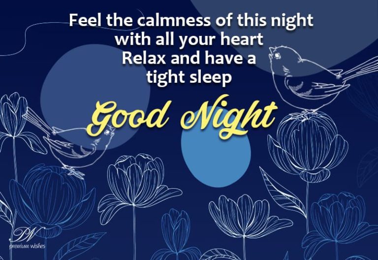 Good Night Wishes
