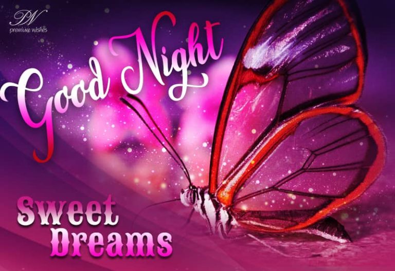 Good Night Wishes