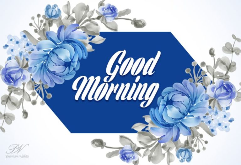 Good Morning Flowers For You to lift your mood up