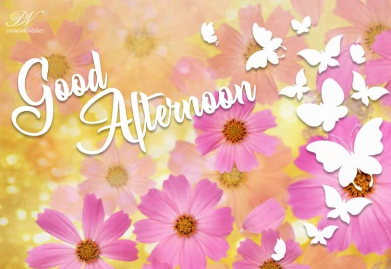 Good Afternoon Wishes