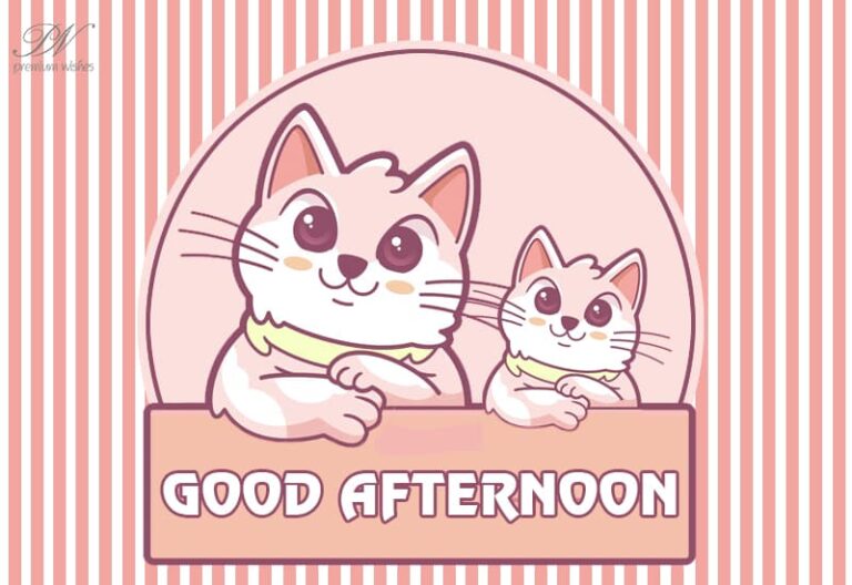 Good Afternoon Wishes