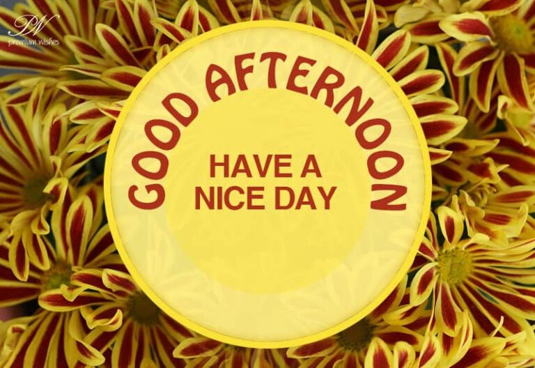 Good Afternoon Wishes