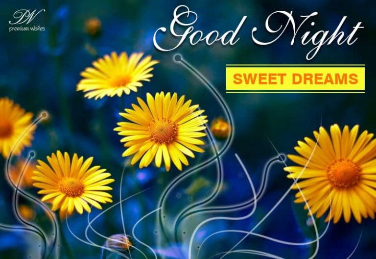 Good Night Wishes