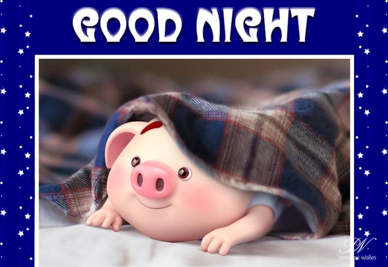 Good Night Wishes