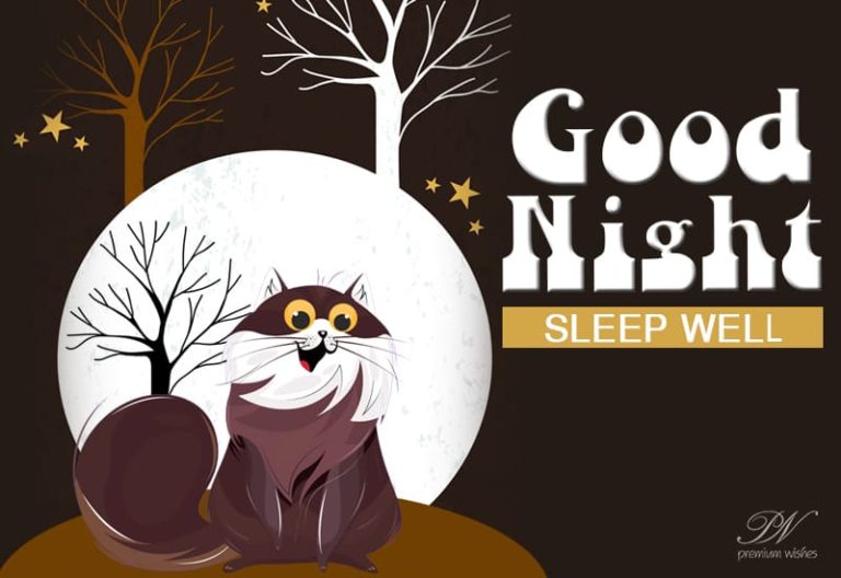 Good Night Wishes