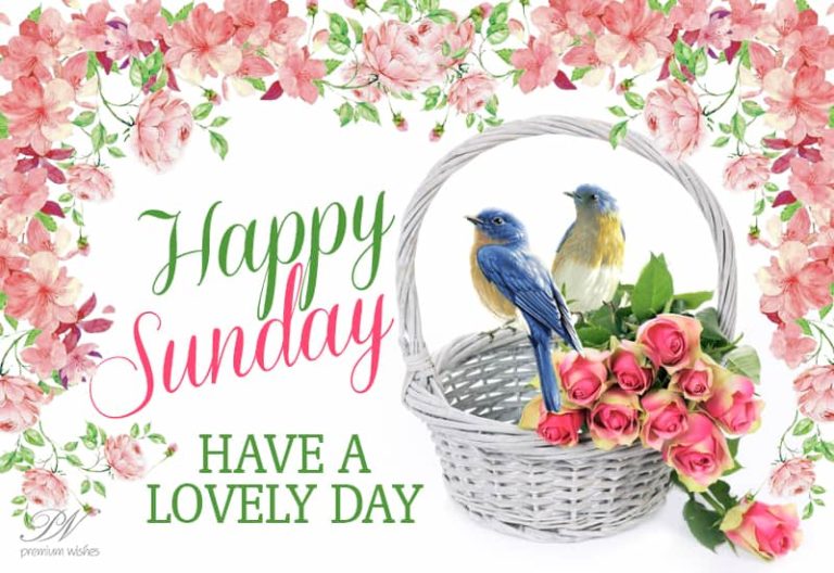 Have a lovely Sunday – Good Morning
