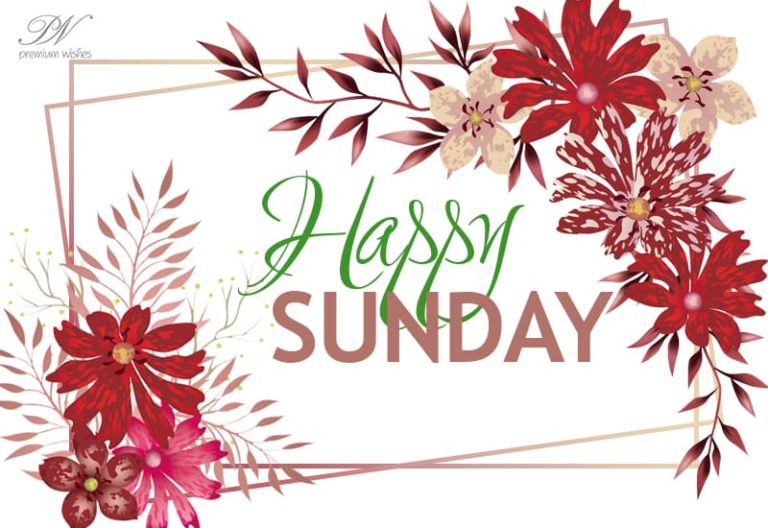 Happy Sunday – Good Morning