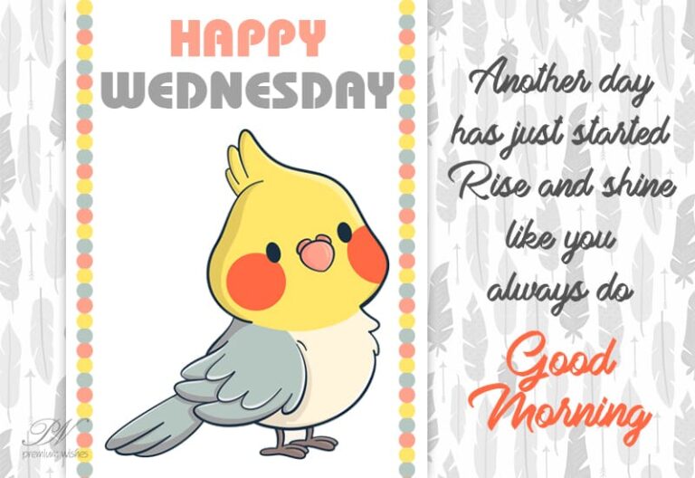 Happy Wednesday – Rise and Shine Like You Always Do Happy Wednesday – Rise and Shine Like You Always Do
