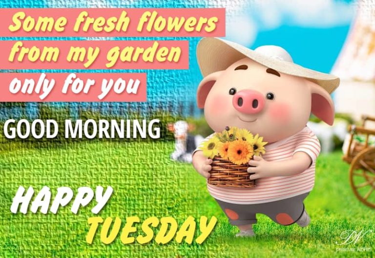 Some fresh flowers from my garden only for you – Good Morning Happy Tuesday Some fresh flowers from my garden only for you – Good Morning Happy Tuesday