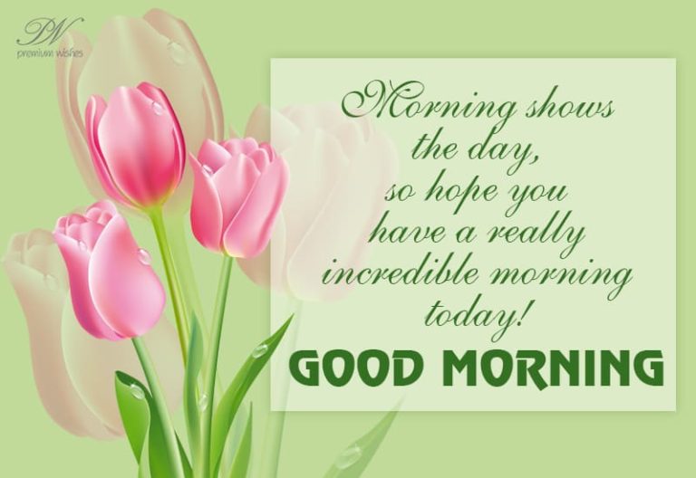 Morning shows the day – hoping that you have an incredible day today – Good Morning Morning shows the day – hoping that you have an incredible day today – Good Morning