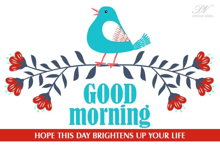 Good Morning – Hope this day brightens up your life Good Morning – Hope this day brightens up your life
