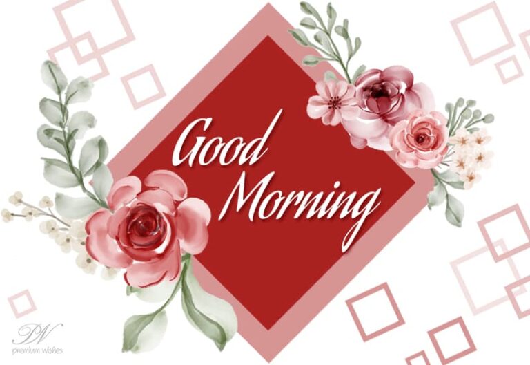 Good Morning Friends – Some Lovely Flowers Wishing You Have A Great Day