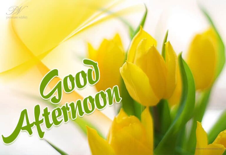 Good Afternoon Wishes