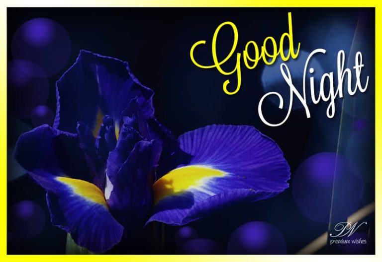 Good Night Wishes