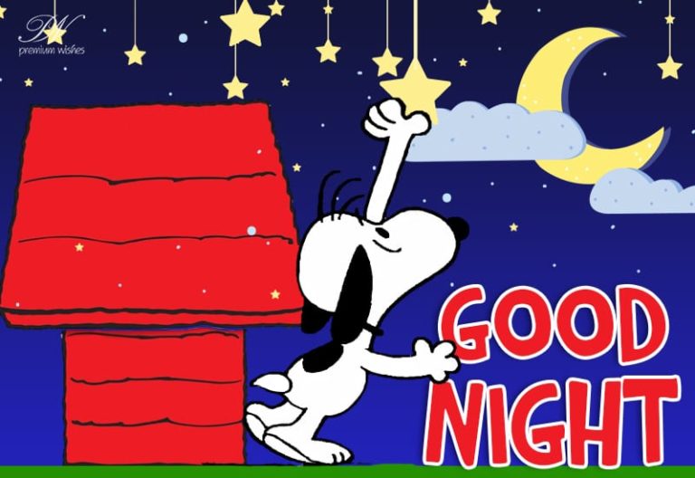 Good Night Wishes