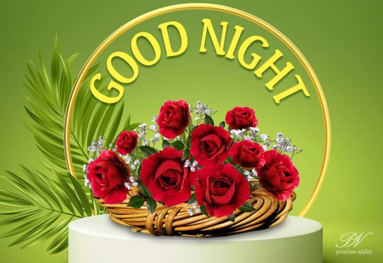 Good Night Wishes