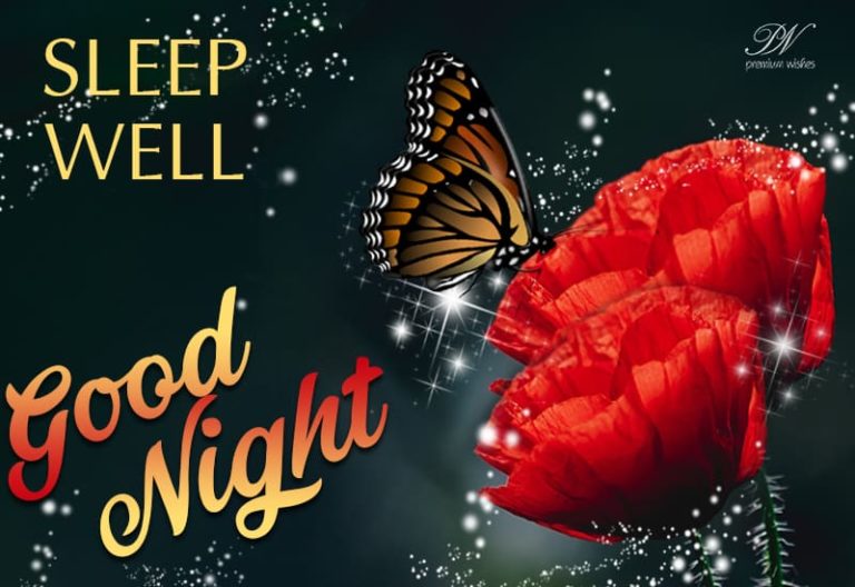 Good Night Wishes