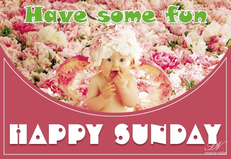 Happy Sunday – Have Some Fun
