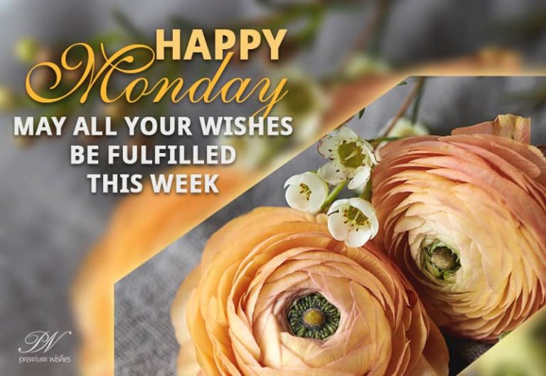 Happy Monday – May all your wishes be fulfilled this week Happy Monday – May all your wishes be fulfilled this week