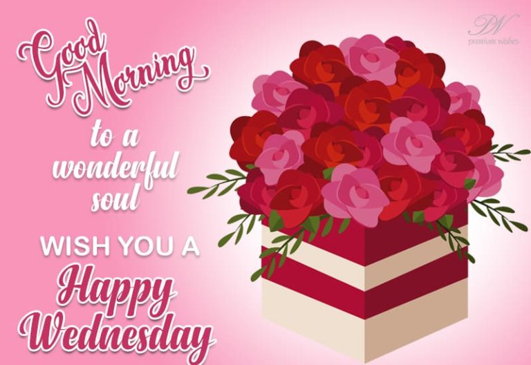 Good Morning to a wonderful soul – Wish you a happy Wednesday Good Morning to a wonderful soul – Wish you a happy Wednesday
