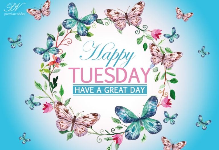 Happy Tuesday – Have a great day ahead – Good Morning Happy Tuesday – Have a great day ahead – Good Morning