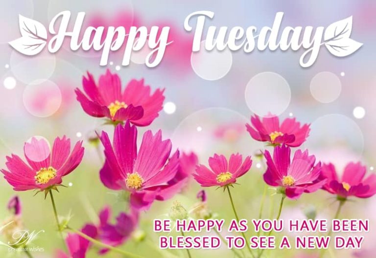 Be happy as you have been blessed to see a new day – Happy Tuesday