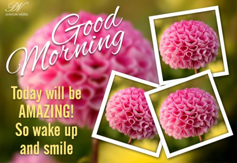 Good Morning – Today will be amazing So wake up and smile
