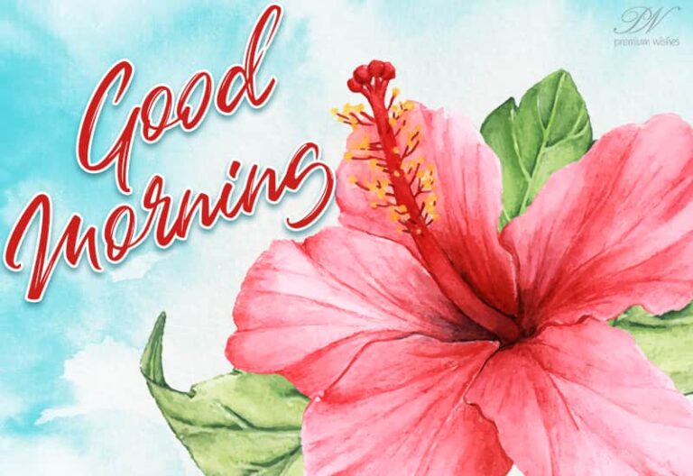 A flower for you to wish you Good Morning