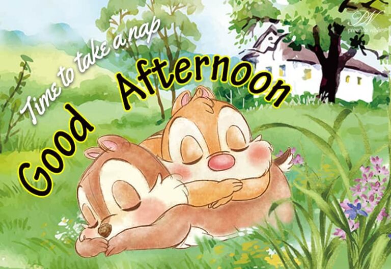 Good Afternoon Wishes