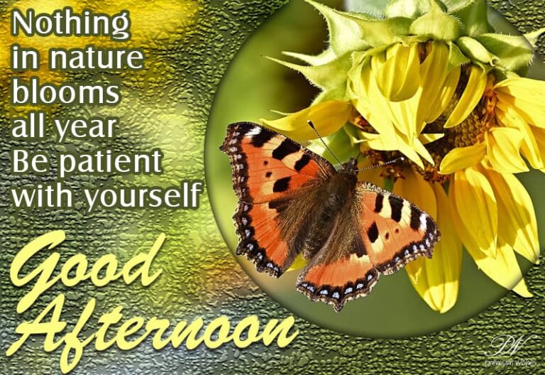 Good Afternoon Wishes