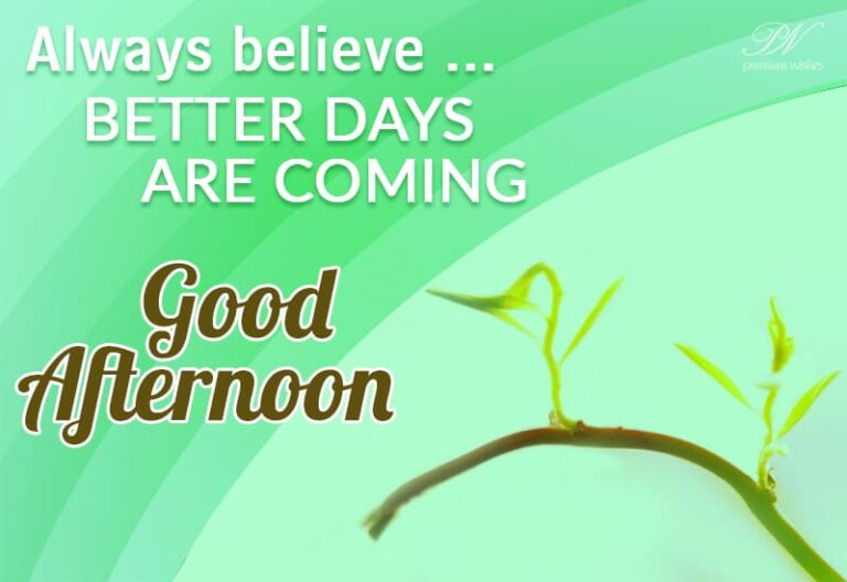 Good Afternoon Wishes