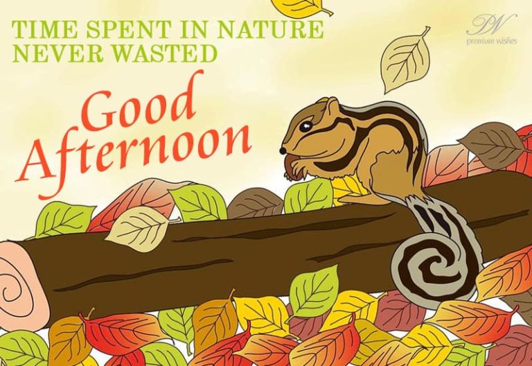 Good Afternoon Wishes