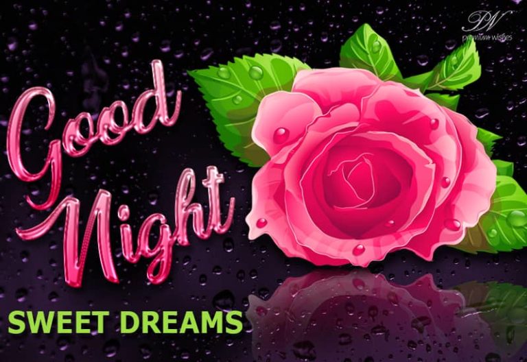 Good Night Wishes
