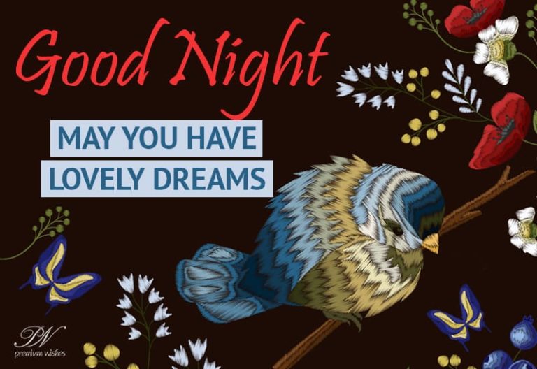 Good Night Wishes