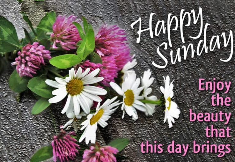 Happy Sunday – Enjoy the beauty that this day brings – Good Morning