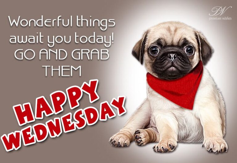 Wonderful things await you today, Go and Grab them – Happy Wednesday