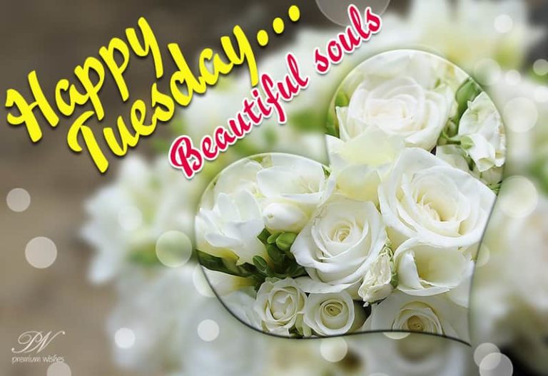Happy Tuesday – Beautiful Souls