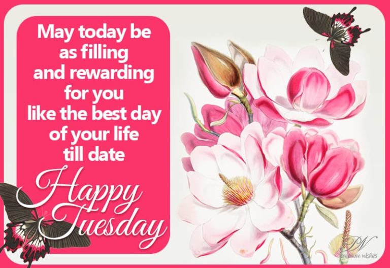 My today be as filling and rewarding for you like the best day of your life till date – Happy Tuesday My today be as filling and rewarding for you like the best day of your life till date – Happy Tuesday